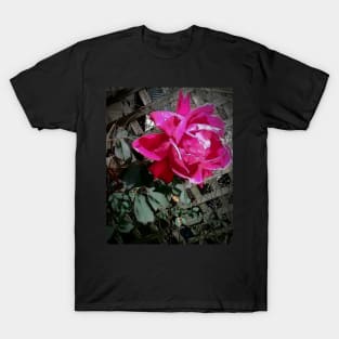 Rose T-Shirt